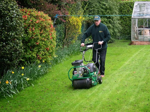 profile picture of Go Green Lawn Care