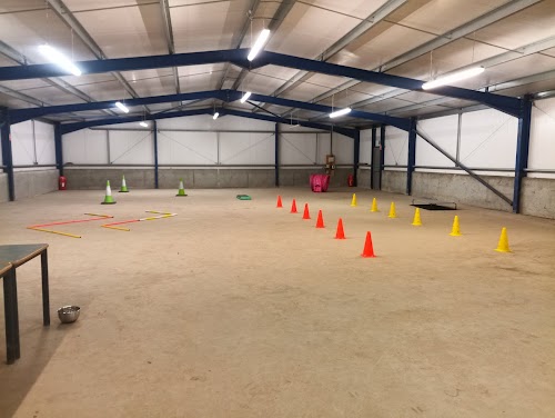 Pearlwynd Dog Training & Activity Centre