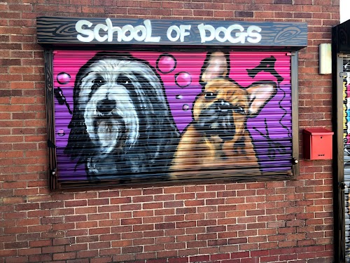 profile picture of Cheshire School of Dogs