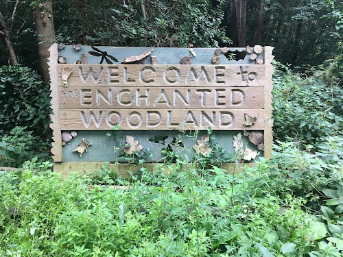 The Enchanted Woodland