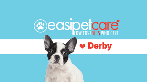 easipetcare - Derby