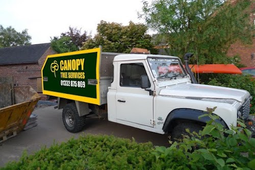 profile picture of Canopy Tree Services profile picture