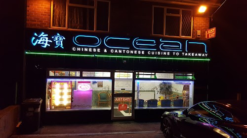 profile picture of Ocean Chinese Takeaway profile picture