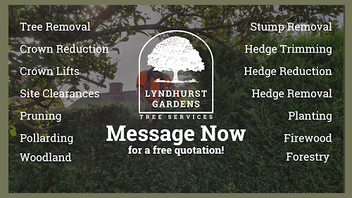 Lyndhurst Gardens - Tree Services