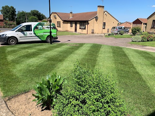 profile picture of LawnRight Lawn Treatment Service profile picture