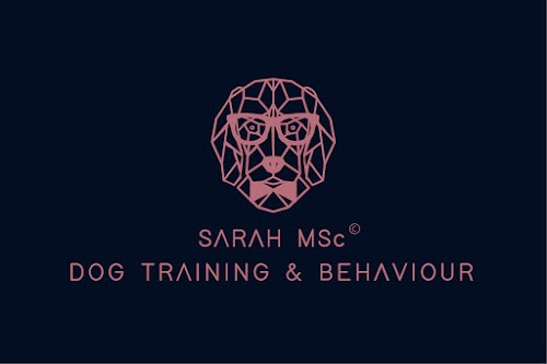 profile picture of Sarah MSc Dog Training & Behaviour