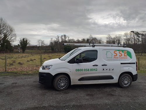 profile picture of SSE Wasp Nest Removal Dudley