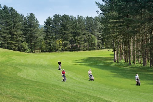 profile picture of The Staffordshire Golf Club