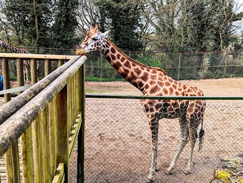 profile picture of Dudley Zoo and Castle