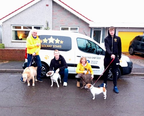 Solway Stars Dog Walking and Pet Service