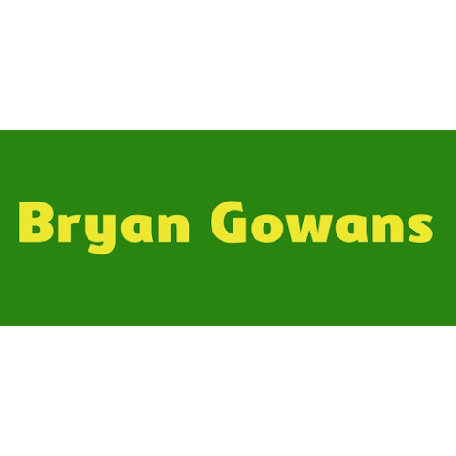 profile picture of Bryan Gowans