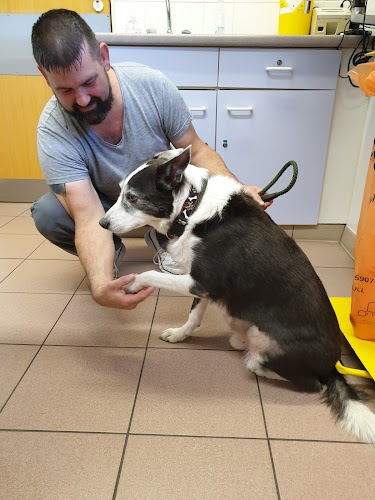 profile picture of Blackness Veterinary Surgery