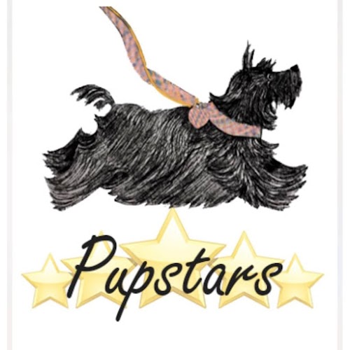 profile picture of Pupstars Pet Services profile picture