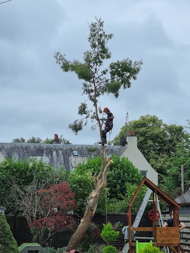 profile picture of Tree Removal Services