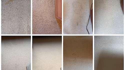 profile picture of The Carpet Cleaner Man profile picture