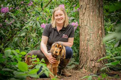 We Love Pets Solihull - Dog Walker, Pet Visits, Doggy Day-care & Home Boarding