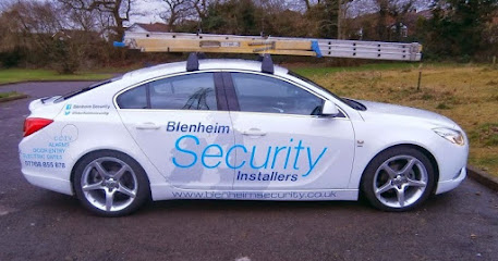 profile picture of Blenheim Security Installers profile picture