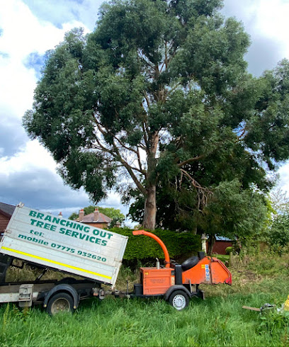 Branching out tree Services