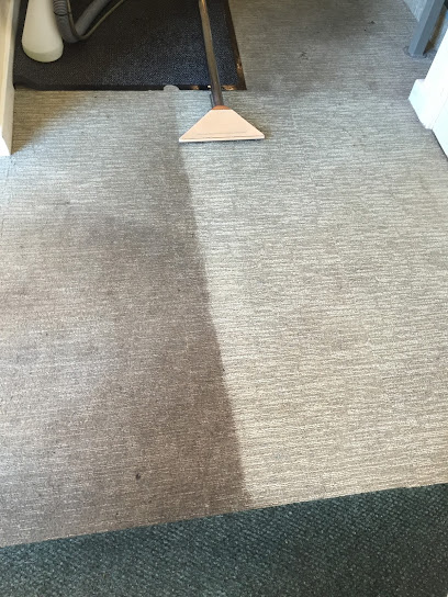 The Bee's Knees Carpet and Upholstery Cleaning