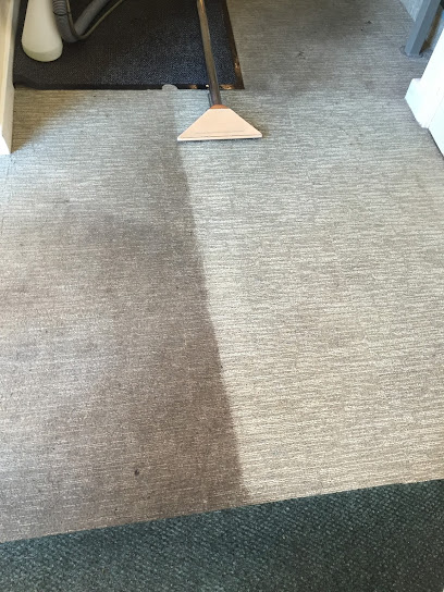 profile picture of The Bee's Knees Carpet and Upholstery Cleaning profile picture