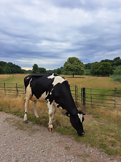 profile picture of National Trust - Erddig Parkland profile picture