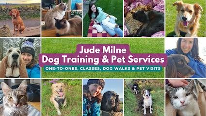 profile picture of Jude Milne Dog Training & Pet Services profile picture