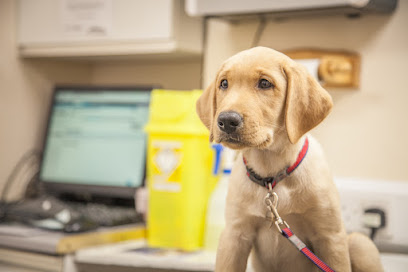 profile picture of Alcombe Veterinary Surgery profile picture