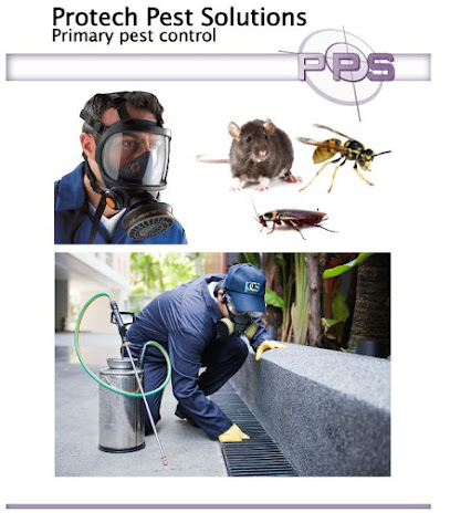 Protech Pest Solutions