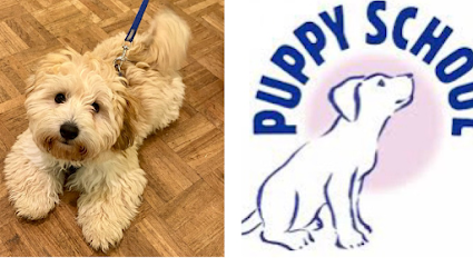 Puppy School Worthing