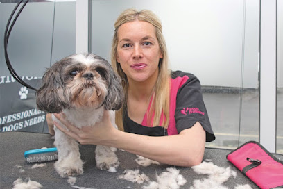 profile picture of South Coast Dog Grooming Academy profile picture