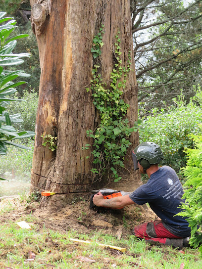 profile picture of Roberts Tree Care