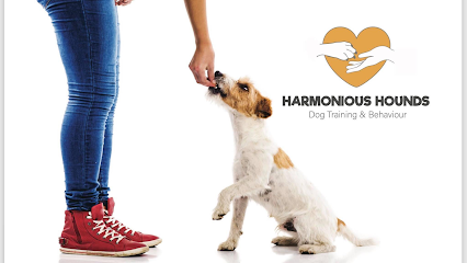 profile picture of Harmonious Hounds Dog Training and Behaviour profile picture