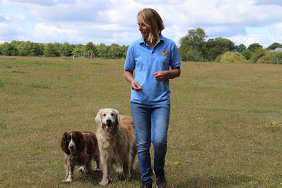 profile picture of Bracken Dog Training profile picture