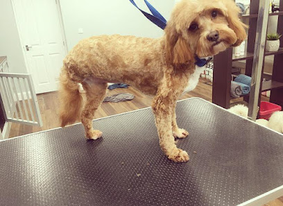 profile picture of Dog Grooming Surrey - Short Bark & Sides Dog Groomers Worcester Park profile picture