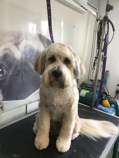 profile picture of Picture Pawfect Groomers profile picture