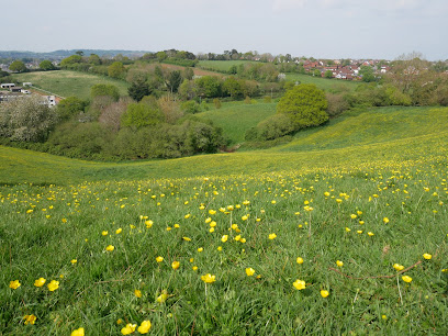 Ludwell Valley Park