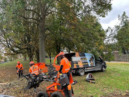 profile picture of ACCESS TREE CARE