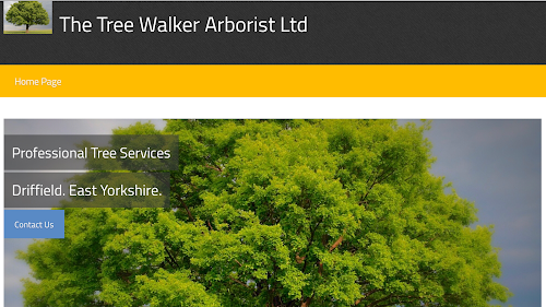 profile picture of JNM Tree Services profile picture