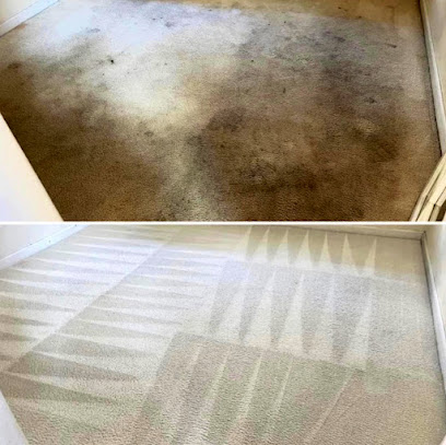 Transform Carpet Cleaning