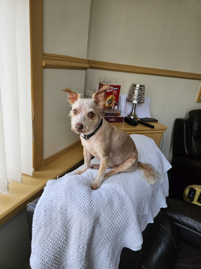 Pooches Mobile Dog Grooming Blackpool