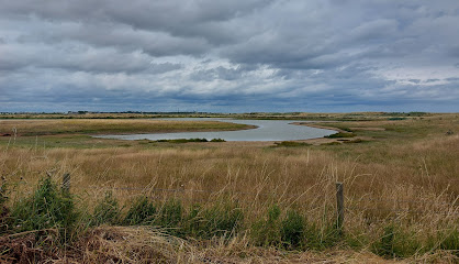 Kilnsea Wetlands