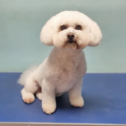 profile picture of Phoenix Dog Grooming Ltd profile picture