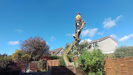 profile picture of HL Tree Services - Tree Surgeons Fife