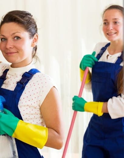 profile picture of Dynamic Domestic Cleaning Ltd (DDC) profile picture