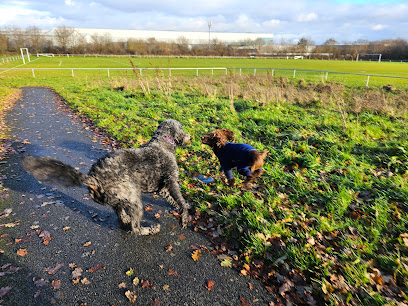 profile picture of Emma's dog walking and Pet services profile picture