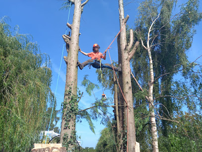 profile picture of D Roberts & Son | Tree Surgeon & Garden Services in North Wales, Chester & Merseyside profile picture