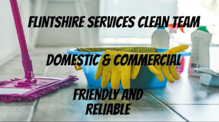 profile picture of Flintshire Services Clean Team profile picture