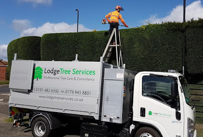 profile picture of Lodge Tree Services profile picture