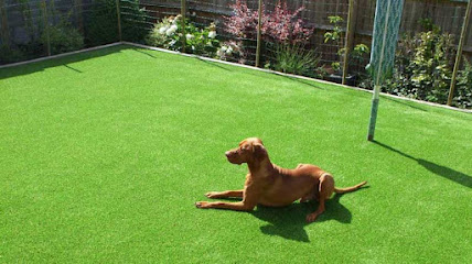 Artificial Grass North East