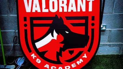 Valorant K9 Academy